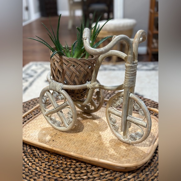 Boho Rattan Tricycle Planter - Picture 2 of 14